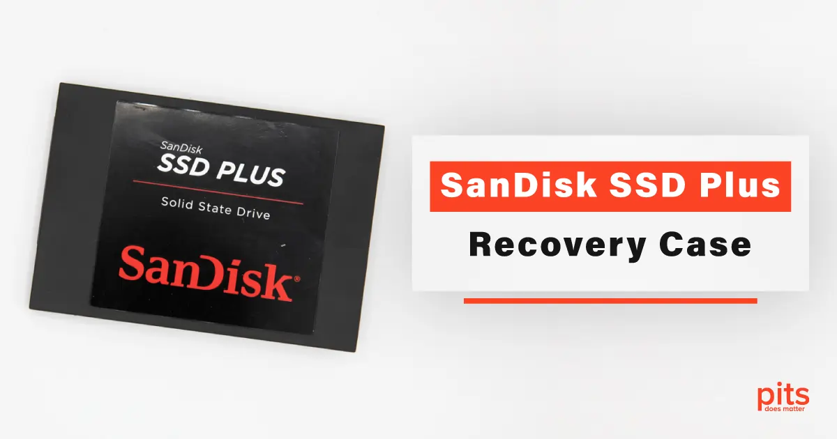 SanDisk SSD Plus Recovery Case