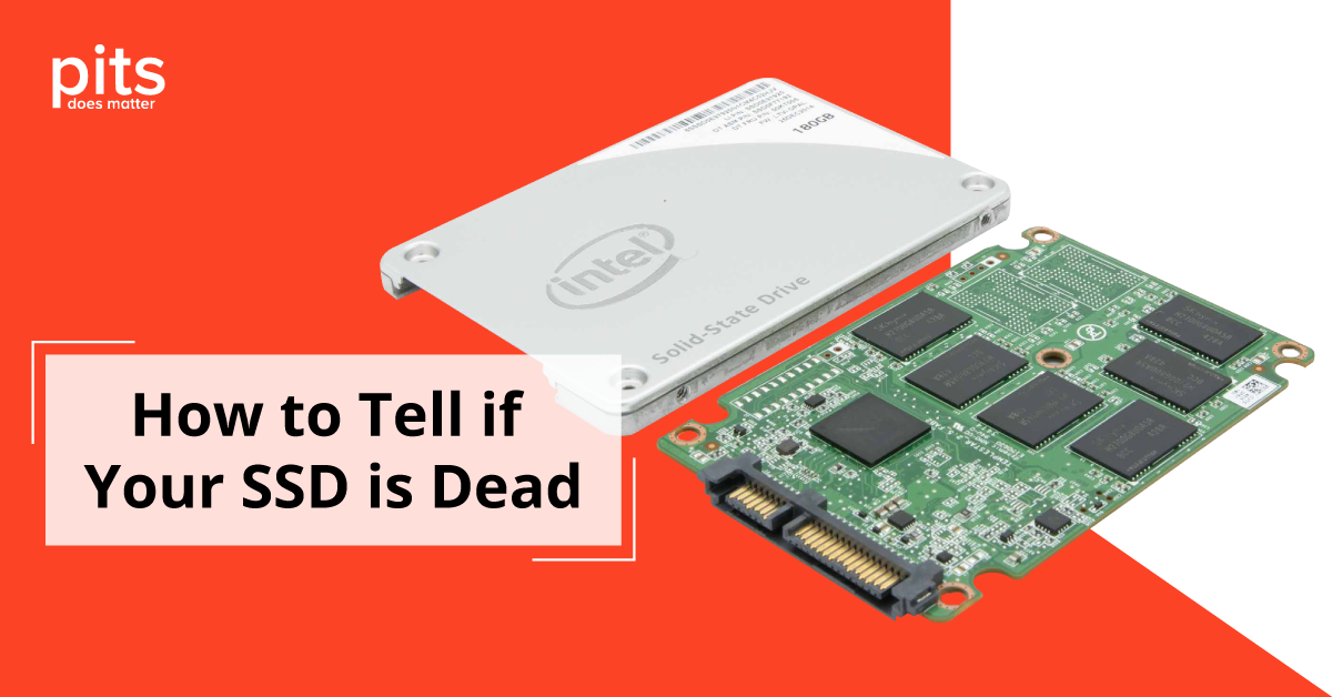 Is Your SSD Dead? How to Tell? Can It Be Fixed? Data Recovery