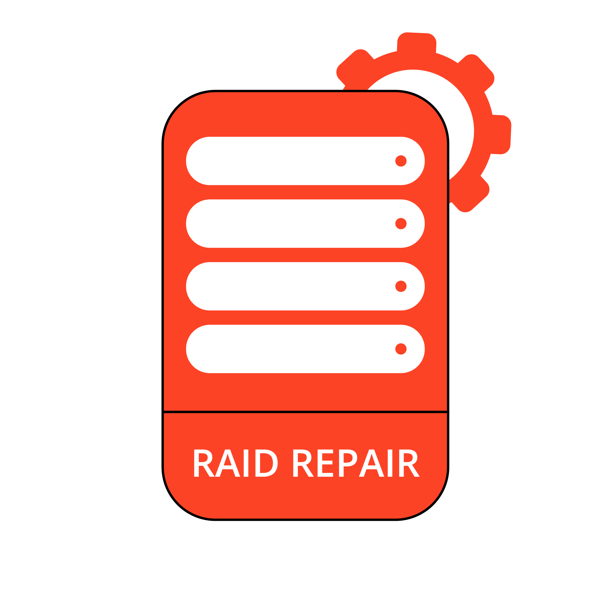 RAID Repair Services