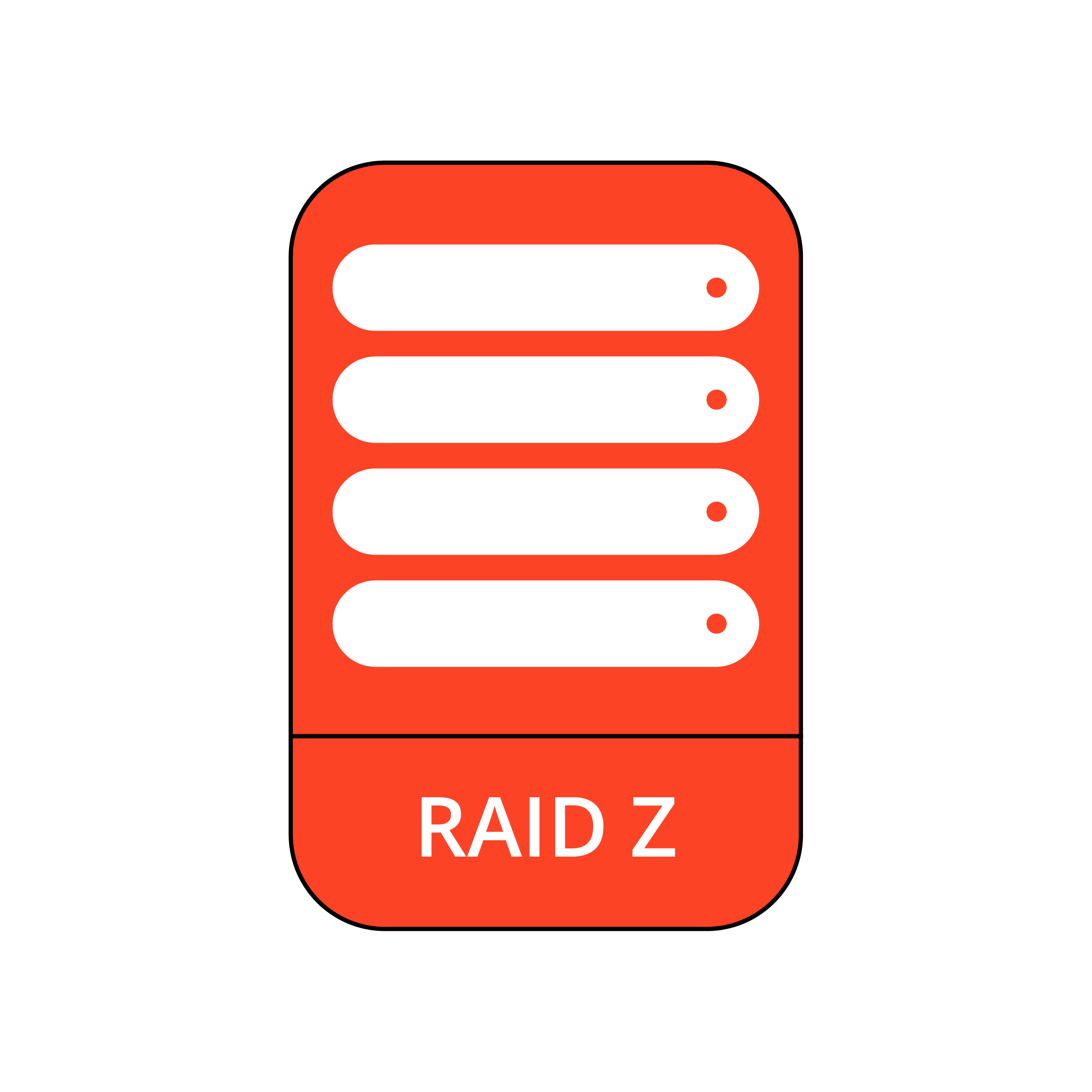 RAID Z Data Recovery