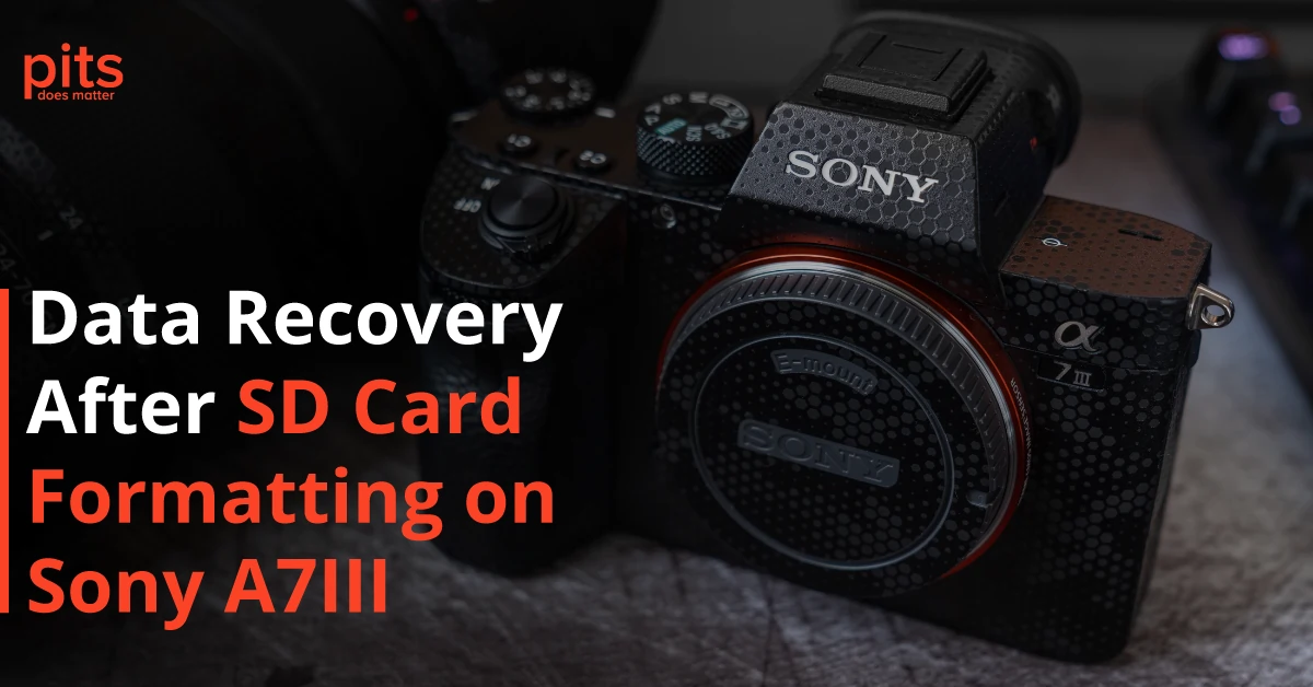 Data Recovery After SD Card Formatting on Sony A7III