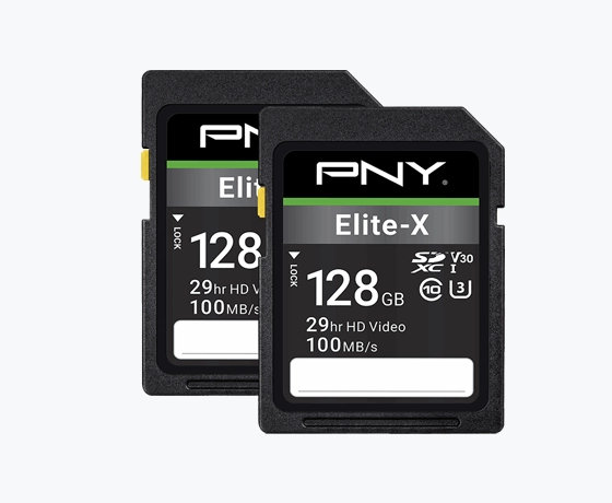 Two PNY Elite-X 128GB SDXC memory cards